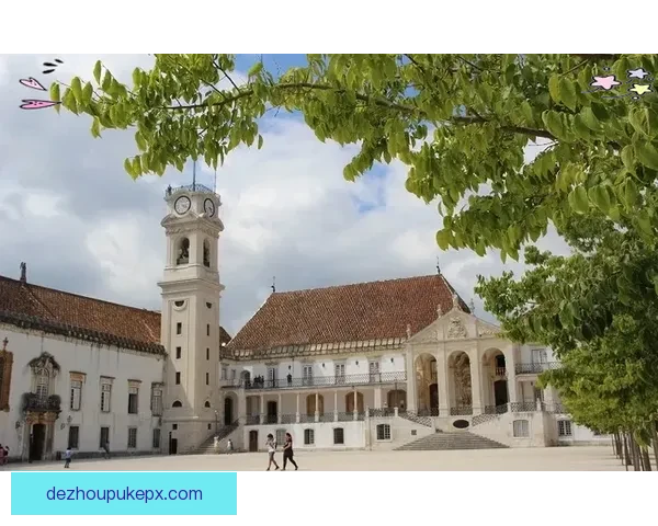 华森主场憾负科英布拉大学零比一比赛过程与关键瞬间深度解析全景